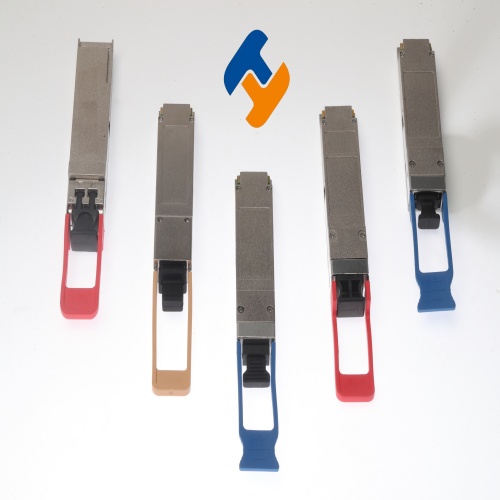 1756287944185770.jpg YANG4262(1).jpg